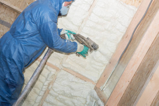 Best Blown-In Insulation  in USA